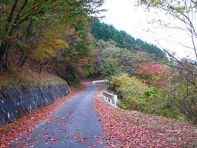 ��ƻ���ϸ��������ι��դ���1