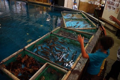 �����Ȥ��ҥ��Ȥ�