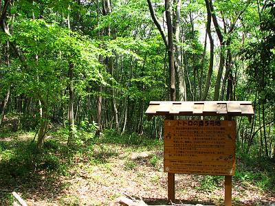 �ȥȥ��ο�5����