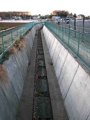 �����Ŀ�ϩ����ü