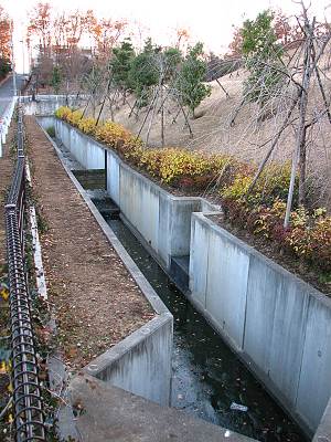 �������꡼�󥻥󥿡��������ή��������Ŀ�ϩ