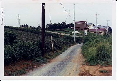 1977年の所沢市上安松の道