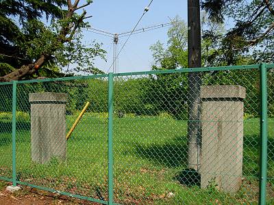 �������̿�����Τ�������