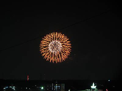 ������������Ź���夫�鸫�������ֲ�