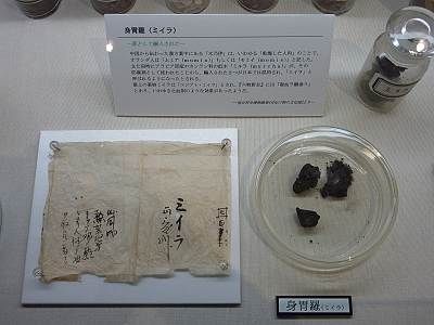 ミイラ(身胃羅)