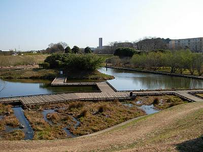 �⻳Ĵ����