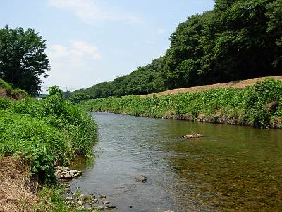 ���������ή����2