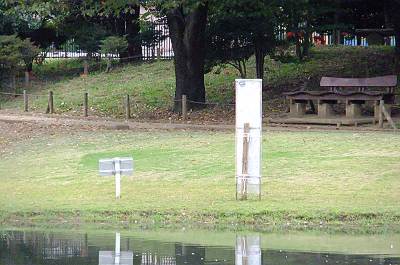 F70EXR��˾�󤤤äѤ�