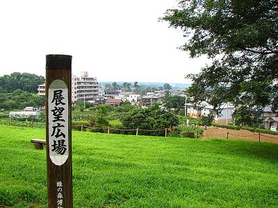 ���������Фο���ʪ�� Ÿ˾����