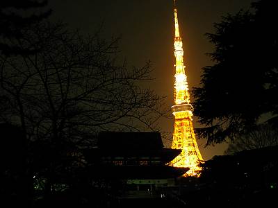 �������������