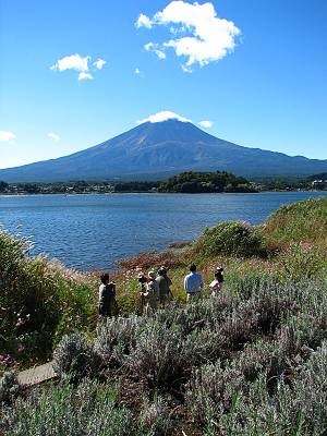 �ϸ������и��फ����ٻλ��ȡ����λ��ƼԤ���