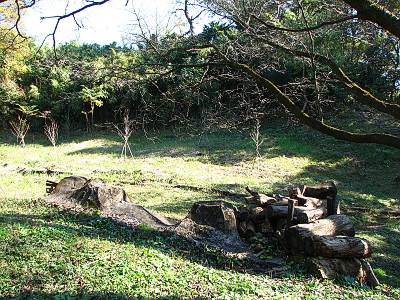 �����ٻ�ĺ���նᤫ���������ʬ�λĳ���