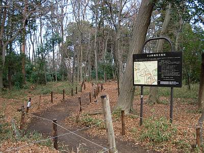 �������������ϰ�