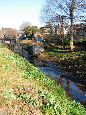 �������ѿ����δ�