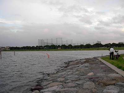 �翹�դ뤵�Ȥ����ո���ΰ��