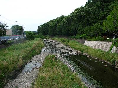 �ߺ䶶��������ή��˾��