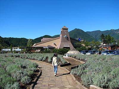 �ϸ��м��������