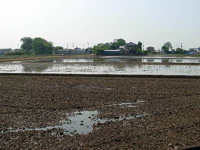 �ٻθ��Ԥ��Ĥ�ܤ⤦�����Ŀ���