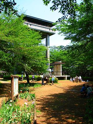 ���ֻԺ���Ÿ˾��