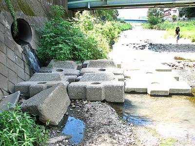 空堀川 梅坂橋下で流れ込む水
