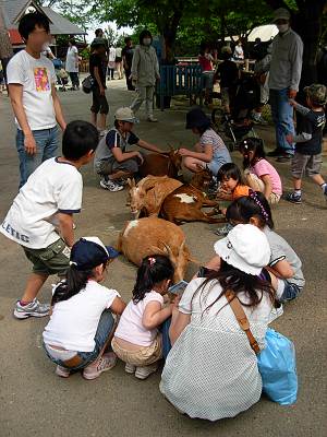 �ʤ��褷�����ʡ��νл��ֶ�Υ䥮����