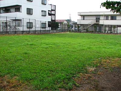 ��¾�������ɤ⹭�����