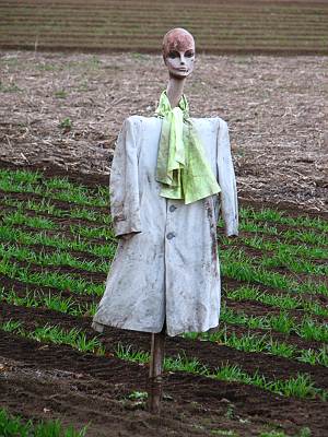 �������꡼�󥻥󥿡����ΰƻ���(���å�)