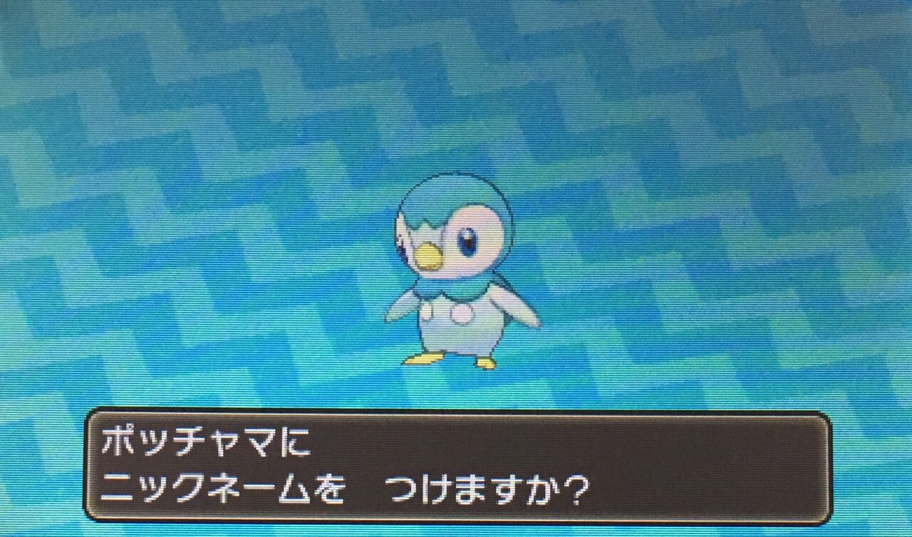 ポケモン 色違いポッチャマ2匹目 Karma 好きなものを好きなだけ語るブログ ポケモン 色違いポッチャマ2匹目 Karma 好きなものを好きなだけ語るブログ