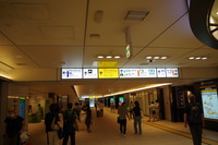 IMGP5549