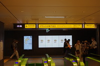IMGP5558