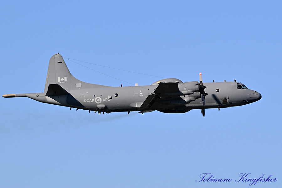 Rcaf 307 I Love Flying : 11/3 厚木展開 RCAF CP-140&CC-177/RAAF C-130J
