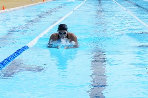 satomi