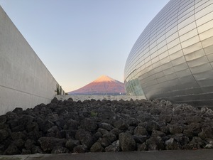 C9145C3A-5D17-437F-91BC-6F58539E2DCB