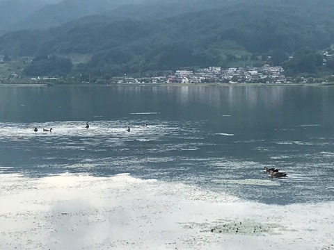 IMG_1131