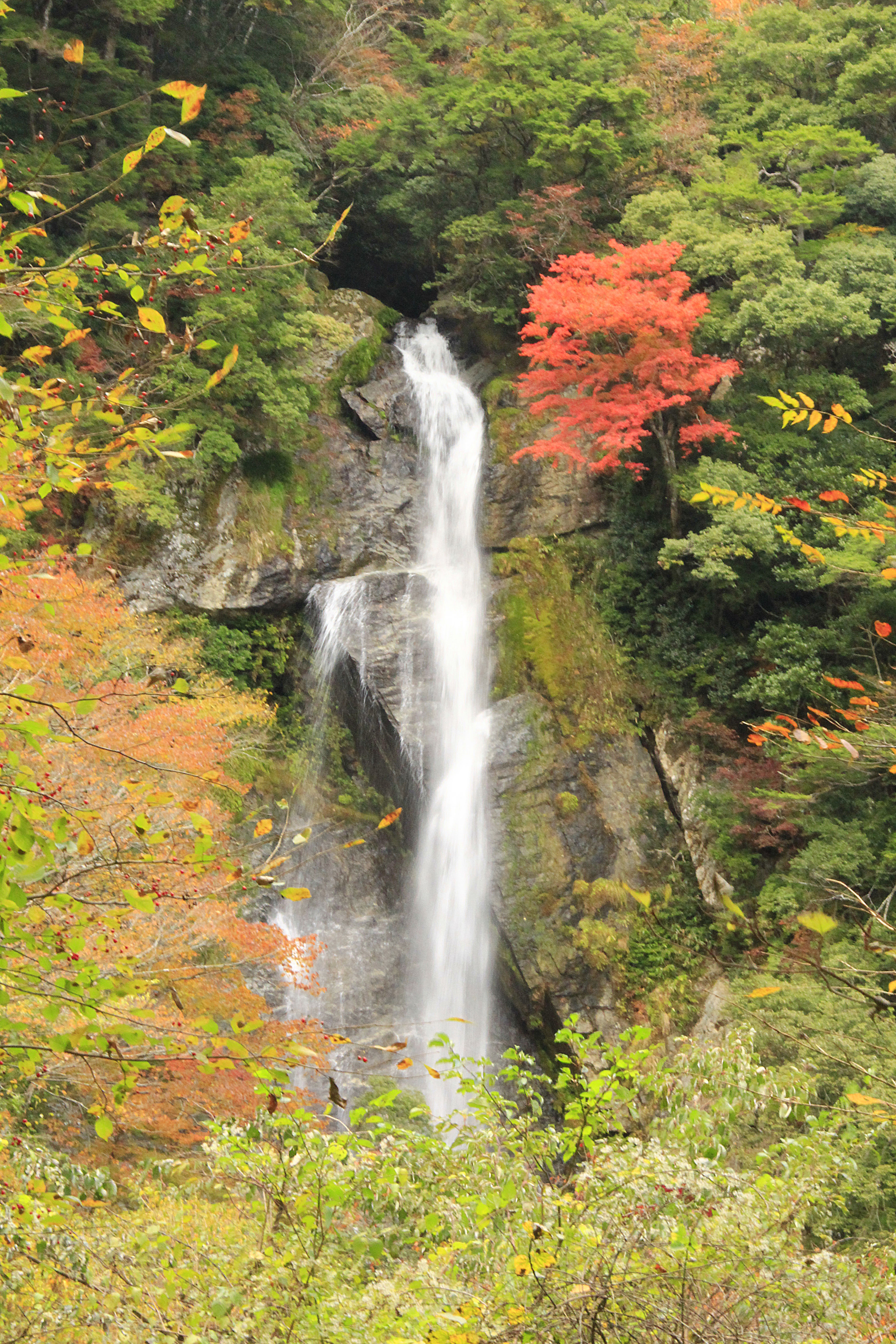 栴檀轟の滝 日本有数の秘境 名爆への旅 旅 音楽とバイク