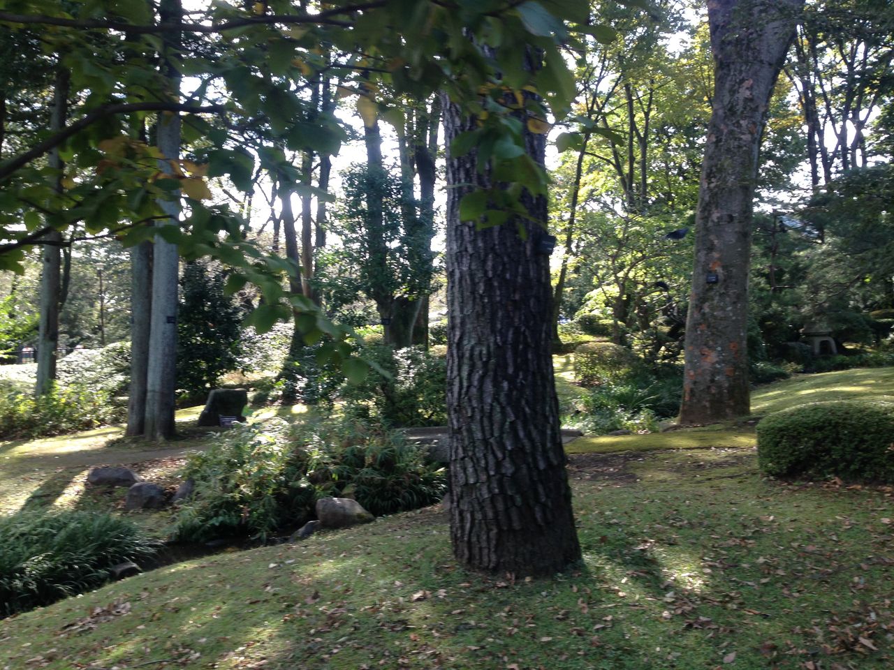 小金井公園 子供と一緒に知る 江戸東京たてもの園 旅 音楽とバイク