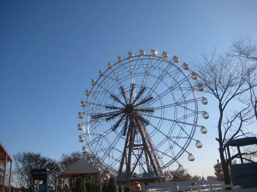 １２月５日 新しい観覧車ができるまで