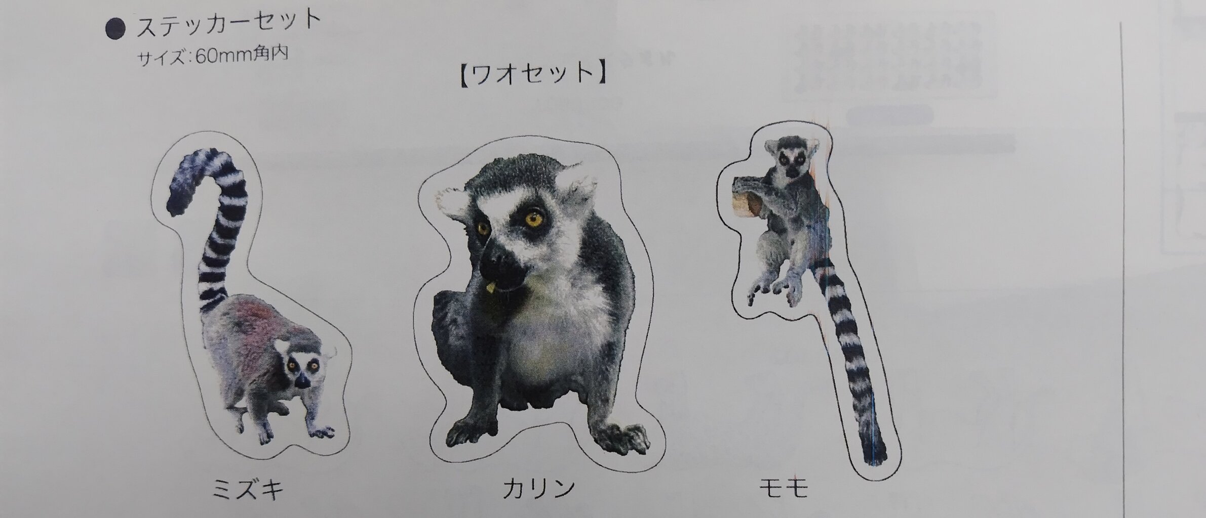 マダガスカルのキツネザル アート作品 マダガスカルの絶滅危機の動物たちを知ってもらうため