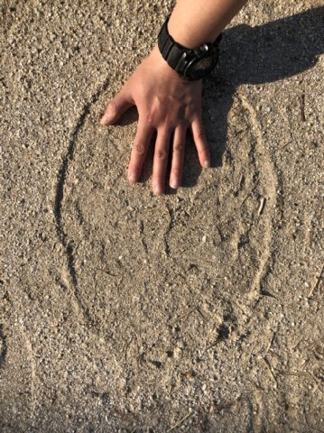 1589183206756