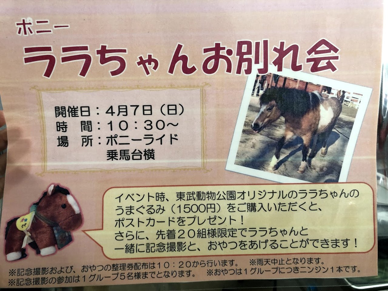 ララちゃんお別れ会 動物園の一日 ララちゃんお別れ会 動物園の一日