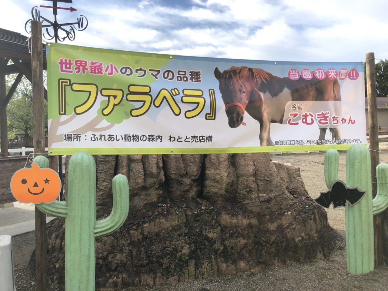 ポニーブログ 動物園の一日