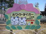 ホワイトタイガー看板