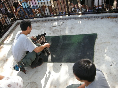 DSCN3114