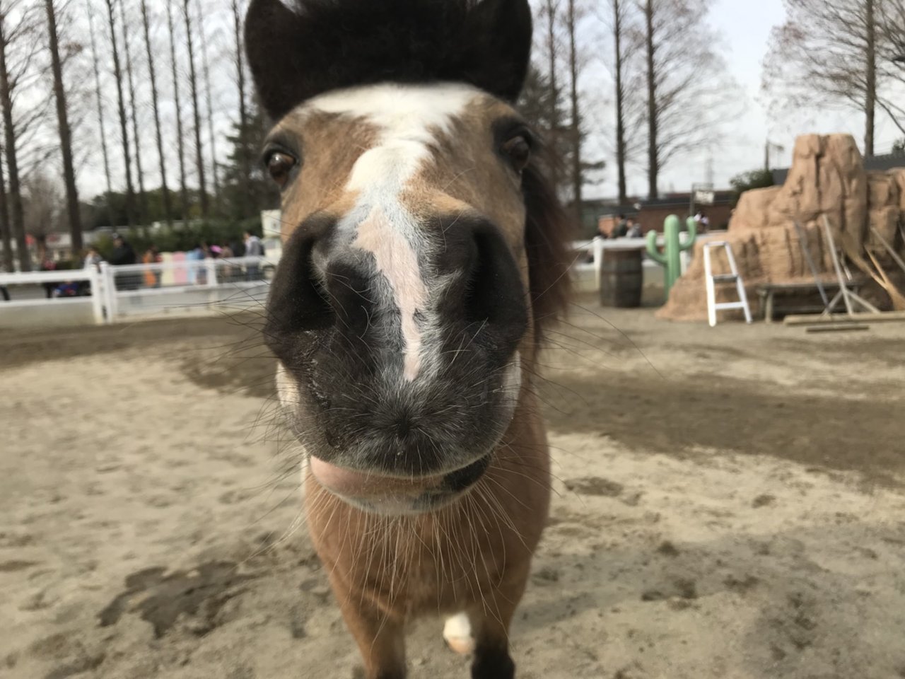 かわいいララちゃん 動物園の一日 かわいいララちゃん 動物園の一日