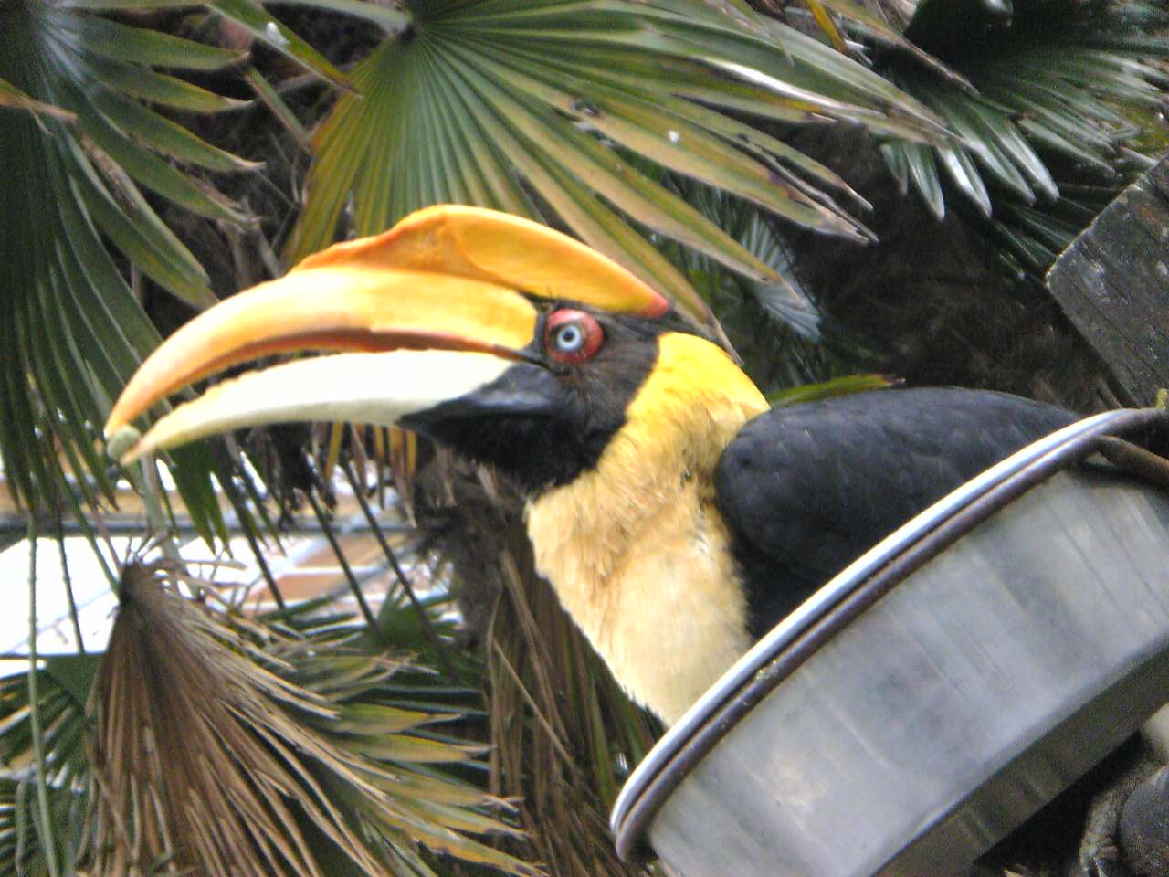 練習中デス 動物園の一日 練習中デス 動物園の一日