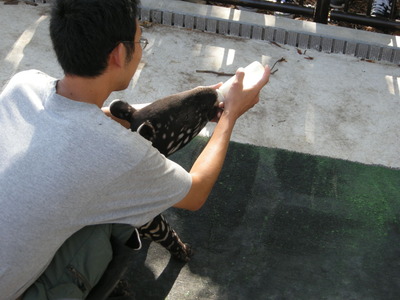 DSCN3117