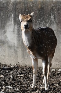 写真3