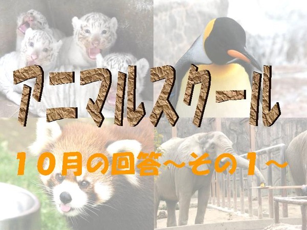 アニマルスクール10月回答1