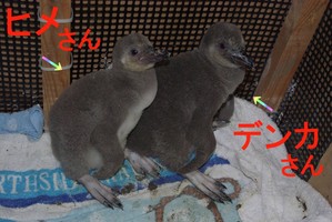 5077編集済1