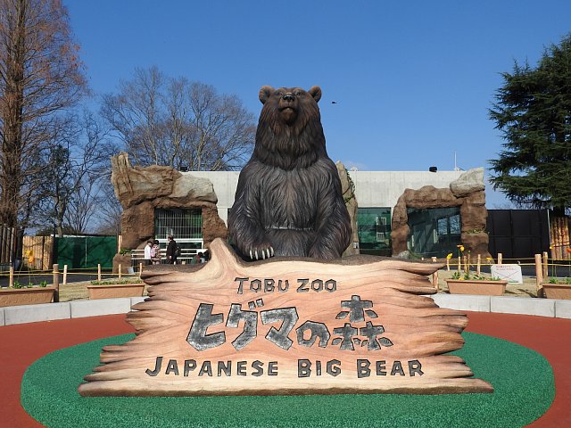 ヒグマの森
